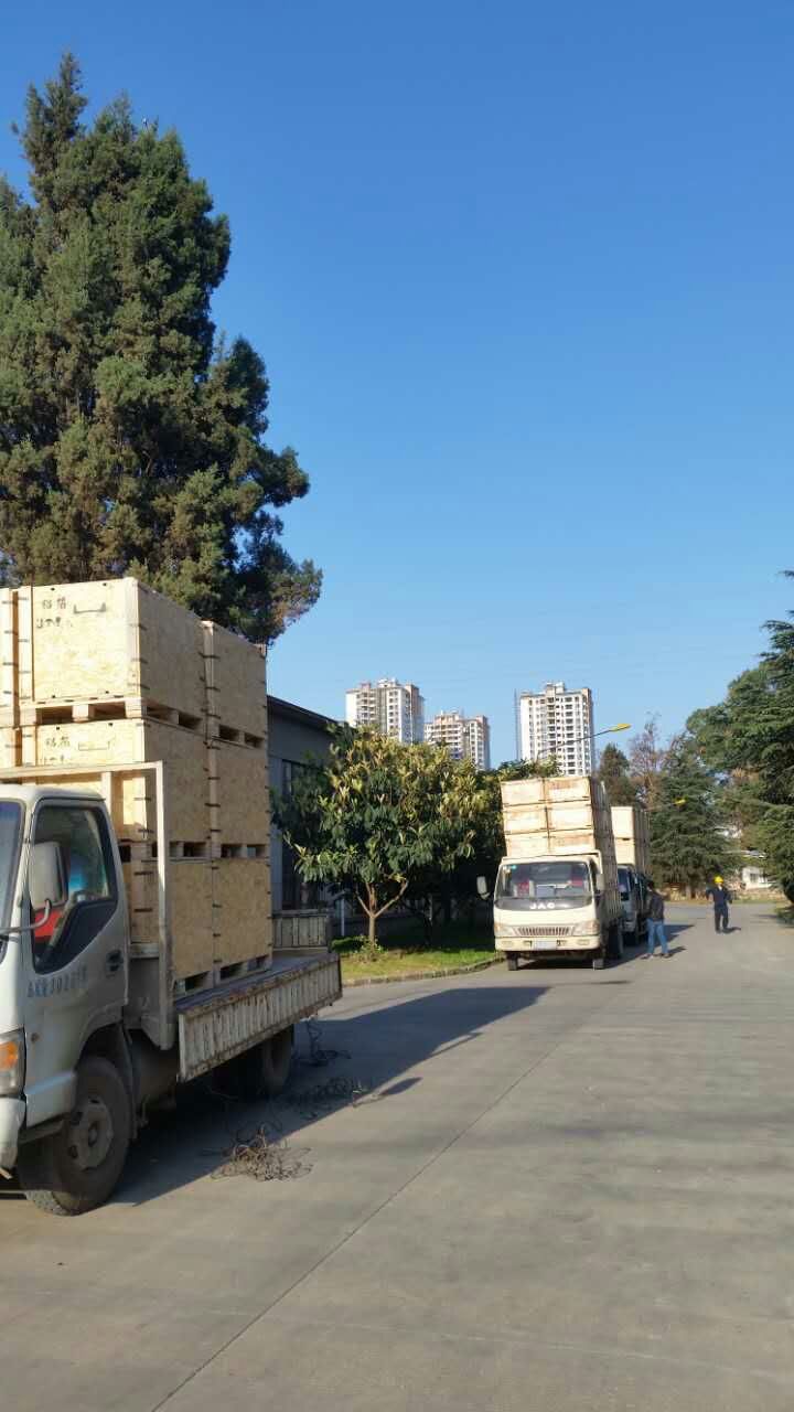 云南木托盤(pán)出廠要經(jīng)過(guò)哪些檢測(cè)